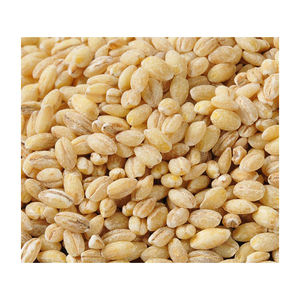 Grano de Cebada Seca Orgánica al por Mayor, Stock a Granel, Grado Premium, Cebada Decorticada para Supermercados y Distribuidores - Product Image 2