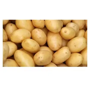 Good Quality New Season Potato Wholesale Fresh Potato Africa Vegetables Available In Bulk Fresh Stock At Wholesale Price