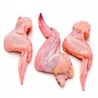Ailes et pattes de poulet HALAL surgelées de qualité supérieure, 3 articulations, sans os ni peau, origine Pays-Bas, qualité 24 jours