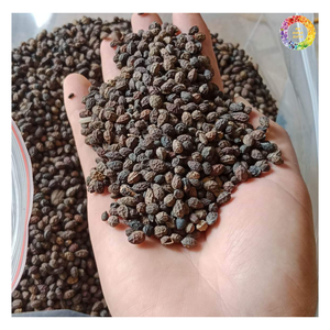 เมล็ดมะละกอทางการเกษตรเมล็ดมะละกอแห้งทำความสะอาดเมล็ดมะละกอแห้ง | สมุนไพรชาสมุนไพรเมล็ดมะละกอแห้ง - Product Image 5