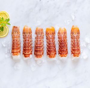 กุ้งมังกรแอฟริกาใต้แช่แข็งขายส่ง ผลิตภัณฑ์อาหารทะเลพรีเมียมสำหรับผู้ซื้อจำนวนมากและการกระจายสินค้าทั่วโลก - Product Image 2