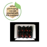 Cartonneuse verticale à chargement par le haut pour l'alimentation et le non-alimentaire DOM Triple Pick & Place Cartons automatiques RSC/HSC pour ligne d'emballage