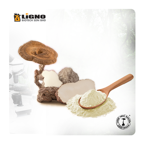 LiGNO TM02 ®   Hongo Leche de Tigre de Malasia, Nutracéutico Certificado por GMP, Apoyo Inmunológico y Energético, Polvo Funcional OEM ODM - Product Image 1