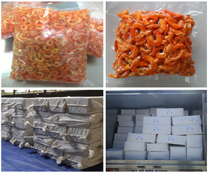 Camarón rojo pelado sin piel seco sin cabeza-Paquete al vacío de alta calidad 12 meses de vida útil-Mejor precio Bella - Product Image 4