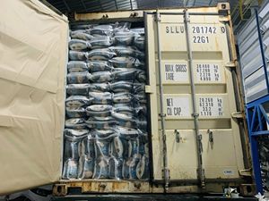 Riz au jasmin aromatique parfumé riz blanc à grain long idéal pour les détaillants de supermarché dans la norme européenne | WA 0084812832899 Kelly - Product Image 4