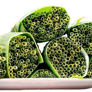 Vendedor caliente, accesorios de barra de pajitas de hierba biodegradables ecológicas para beber, desechables certificados hechos en Vietnam - Product Image 5