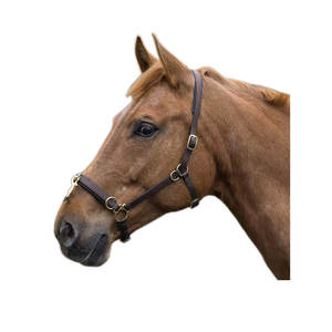 Brida ecuestre de PVC inglesa personalizada de la mejor calidad al por mayor, accesorios deportivos occidentales de equitación de cuero genuino duradero directo - Product Image 3