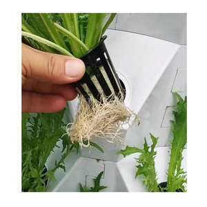 Systèmes d'hydroponie intelligents commerciaux et tours aéroponiques pour l'agriculture de précision - Product Image 1