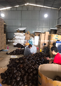 Cuencos de cáscara de coco natural/Cuencos de vela de coco con cuchara El precio más barato de Eco2go Vietnam - Product Image 6