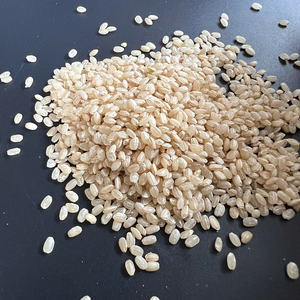 ข้าวหอมมะลิญี่ปุ่นคุณภาพสูง เมล็ดสั้น กลิ่นหอม เนื้อเหนียว ใหม่ สด แห้ง ได้รับการรับรองมาตรฐาน HACCP ISO ปลอดจีเอ็มโอ บรรจุภัณฑ์แบบ OEM 500 กรัม - Product Image 3