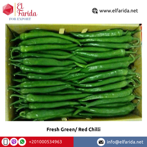 Vente en gros de légumes piments verts/rouges égyptiens frais de haute qualité chauds et épicés à un prix raisonnable - Product Image 4