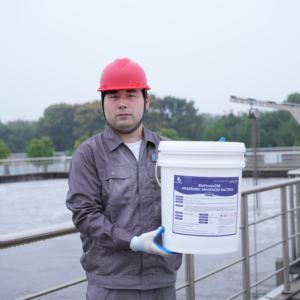 Digestor de Biogás para Fossa Séptica Sistema Anaeróbico de Alta Atividade Remoção de DQO Bactérias Aprimoradas BP200 - Product Image 2