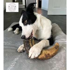 Cuerno de búfalo puro de alta calidad para masticar perros, tratamiento saludable duradero, textura dura, aperitivo orgánico para mascotas, Ideal para recompensa de Entrenamiento de Cuidado Dental - Product Image 3