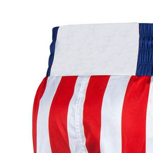 Vente en gros de shorts de boxe de toutes tailles et de toutes couleurs avec logo personnalisé, nouvelle tendance, vêtements d'arts martiaux à la mode - Product Image 4