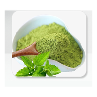 Poudre de menthe naturelle de qualité alimentaire séchée par atomisation Herbojit International 25 KG pour la cuisine – Nouvelle marque, additif séché de dernière génération