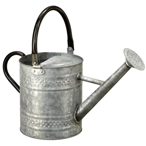 Arrosoir en métal pour plantes en acier inoxydable de grande capacité robuste de style simple pour le jardin extérieur - Product Image 2