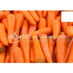 Extracto de Zumo de Zanahoria Premium en Polvo, Rico en Nutrientes, Betacaroteno, Superalimento para la Salud de la Vista, la Piel, la Inmunidad y el Bienestar Diario - Product Image 6