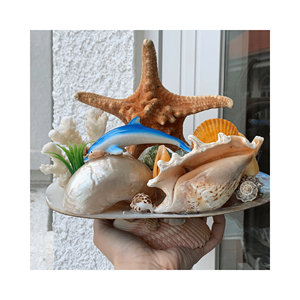 ของตกแต่งโต๊ะงานฝีมือเปลือกหอยวัสดุ: เปลือกหอยธรรมชาติใช้: Cafe Display accents; ORIGIN: ผู้จำหน่ายงานฝีมือจากเวียดนาม - Product Image 1