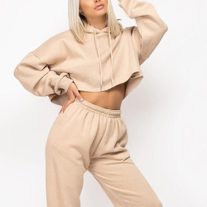 เสื้อฮู้ดดี้ลำลองผู้หญิง แขนยาว ทรงโอเวอร์ไซส์ ผ้าถักวิสโคส ด้านหน้าแบบกำหนดเอง เสื้อครอปสปอร์ต สำหรับฤดูใบไม้ร่วง/ฤดูหนาว ระบายอากาศได้ดี กันน้ำ - Product Image 2