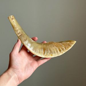 Shofar Artesanal de Cuerno de Búfalo con Componentes Metálicos para Uso Espiritual, Fiestas y Eventos de Cocina - Product Image 2