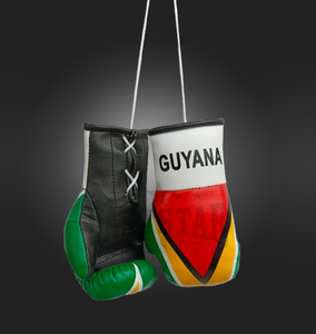 OEM Vente en gros Mini gants de boxe personnalisés Porte-clés Prix d'usine GUYANE Pays Drapeau Voiture Ornement suspendu pour application en extérieur - Product Image 3
