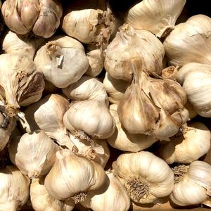Ajo fresco de alta calidad para sus necesidades culinarias - Product Image 6