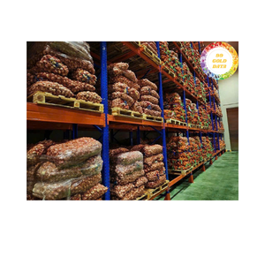 Ajo seco copos de ajo Premium FUENTE DE Vietnam perfecto para cocinar salsas adobos aperitivos y suministro internacional a granel - Product Image 2