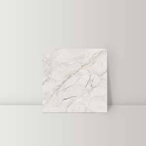 Amron Nâu Glossy sứ gạch 600x600 mét cao cấp AAA + lớp firebrick cổ điển hiện đại gạch lát sàn - Product Image 5