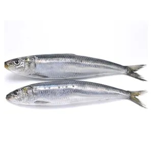 Dijual Sarden Ikan Kalengan Dalam Minyak Sayur Ikan Makarel Sarden Kalengan Makanan Laut untuk Dijual