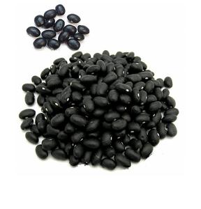 Suministro a granel de alta calidad Frijoles negros para cocinar Conservas Industria alimentaria Precio barato mundial disponible - Product Image 3