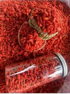 Graines de fruits populaires de haute qualité en gros, baies de goji - Product Image 3