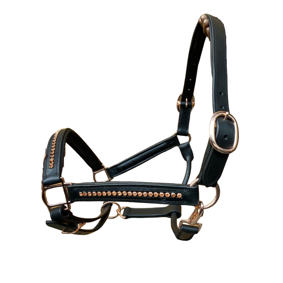 Licol De Présentation Tressé Main Pour Mini Cheval – Noir Et Rose