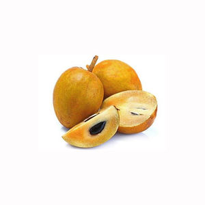 Fruta Fresca Tropical Sapota Premium Chikoo Dulce Cosecha Natural Exportador a Granel Suministro para el Mercado Mayorista - Product Image 3