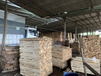 100% bûches de bois d'acacia naturel/bois scié de haute qualité avec le meilleur prix du Vietnam