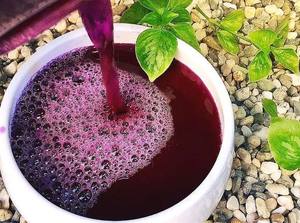 Food Grade Peristrophe Bivalvis Leaf Powder Wholesale Supply for Natural Color Applications and Manufacturing - Product Image 3