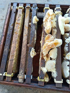 Miel naturel pur en nid d'abeille du Vietnam pour la vente en gros et la consommation humaine - Product Image 2