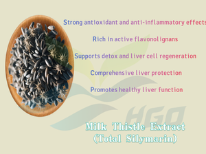 HGO Factory Fourniture directe d'extrait de chardon-Marie naturel pur (qualité alimentaire) Spécification Silymarine totale 50% normalisée - Product Image 5