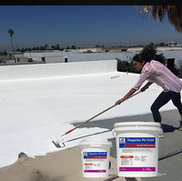 Revêtement de toit en silicone polyuréthane liquide peinture acrylique pour toitures revêtement de matériaux de construction étanche résistant aux UV