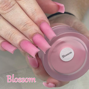 핫 세일 아크릴 파우더 빠른 건조 프랑스 손톱 버터 아크릴 디핑 3 in 1 파우더 - Product Image 1