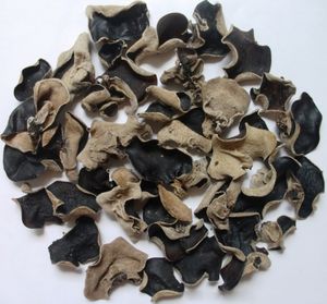 Champignon noir séché entier de petite et grande taille en gros prix bon marché du Vietnam/champignon d'oreille en bois séché bon prix exportation - Product Image 1