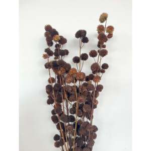Pompon de fleurs séchées - Product Image 1