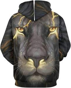 Sweats à capuche personnalisés unisexes OEM/ODM pulls molletonnés en coton de marque privée vêtements de rue Collection hiver-Direct fabricant - Product Image 3