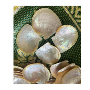 Conchas de vieira decorativas de Vietnam para bodas y mesas de eventos - Product Image 6