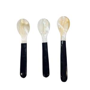 Cuillère de luxe noire en nacre polie, faite à la main, pour glace, café, caviar – Idéale pour hôtels, cafés et restaurants - Product Image 1