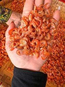 ส่วนประกอบอาหารทะเลจากธรรมชาติสำหรับซุปผัดและขนมขบเคี้ยวที่ได้มาจากเวียดนามชายฝั่งทะเลระดับพรีเมียม - Product Image 2