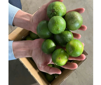 Techmifoood Citrons Verts Sans Pépins, Agrumes Frais d'Origine Vietnamienne, Durée de Conservation au Froid 30-45 Jours, Life Gives You Limes