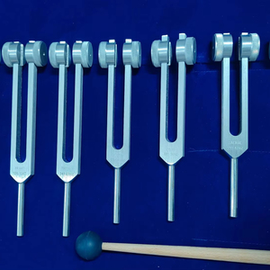 Diapasones de Chakra - plateados con peso - Product Image 1