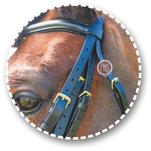 Ensemble de bride en cuir Weymouth, paire de rênes, quincaillerie en laiton massif, rembourrage en cuir de vache souple, logo personnalisé, équipement équestre pour cheval - Product Image 2