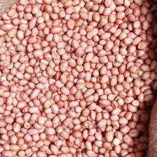 Arachides de qualité supérieure Java, saveur riche et audacieuse, texture croquante, torréfaction experte, goût naturel, 38, 50 unités/once, durée de conservation de 6 à 12 mois - Product Image 5