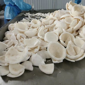 Tranches naturelles de viande de noix de coco congelée de haute qualité pour les boissons tropicales cocktails utilisation en usine de crème glacée du Vietnam - Product Image 1